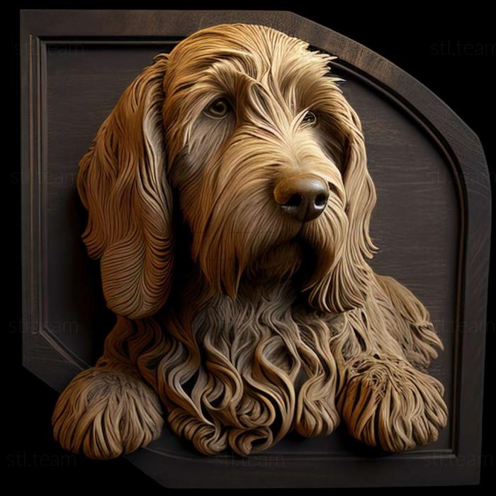 Otterhound dog